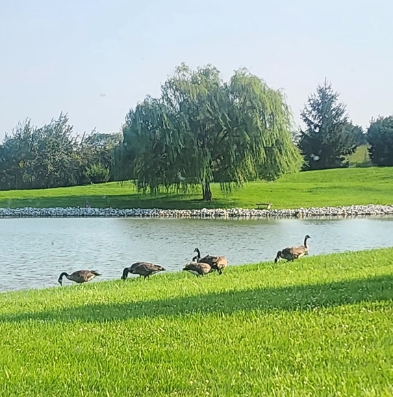 Respect - Picture 1 of 1